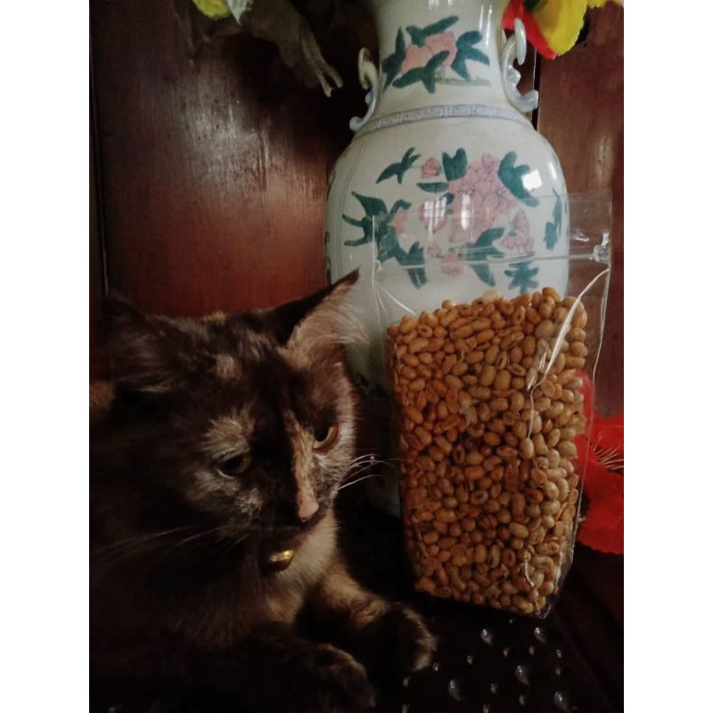 

kacang kulit / kacang soto