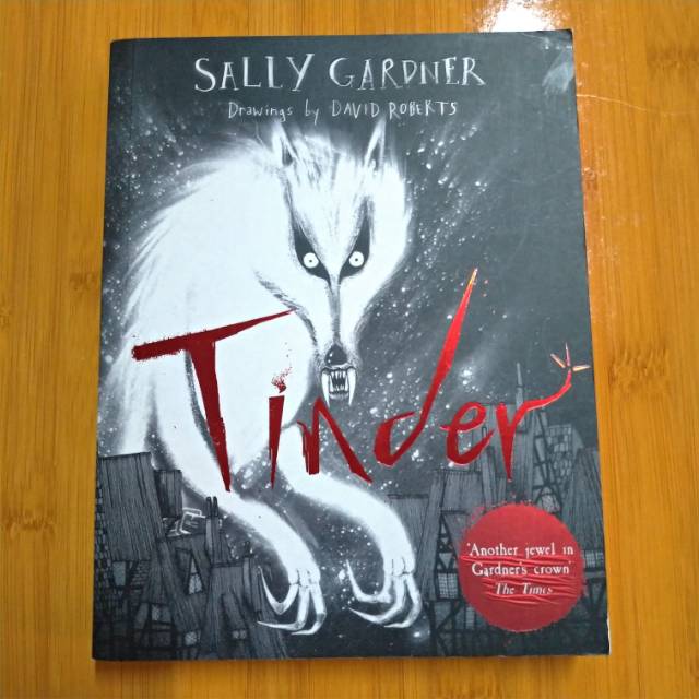 Tinder - Sally Gardner