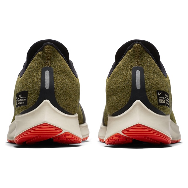 pegasus 35 water repellent