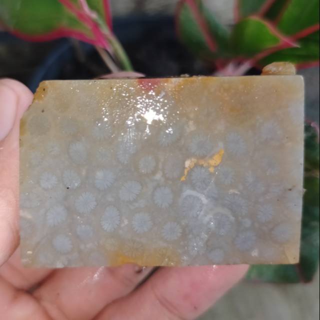 Bongkah batu motif bunga teratai biru muda