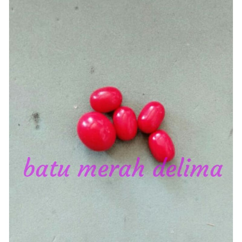 batu merah delima ajaib bisa nyala kalo kena air