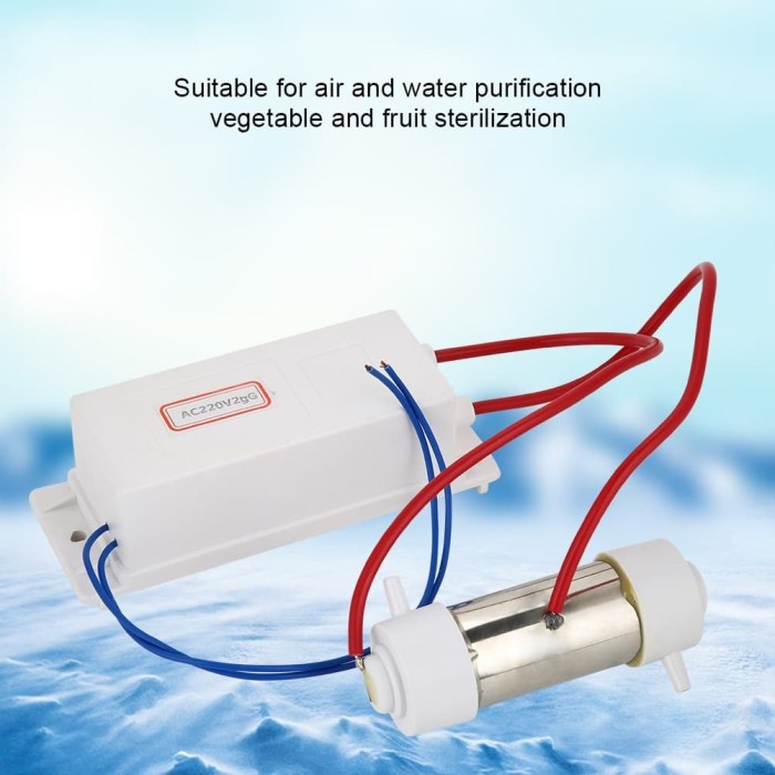 DIY Ozon Ozone Water Air Purifier Generator Sterilizer 2000mg/H 220v