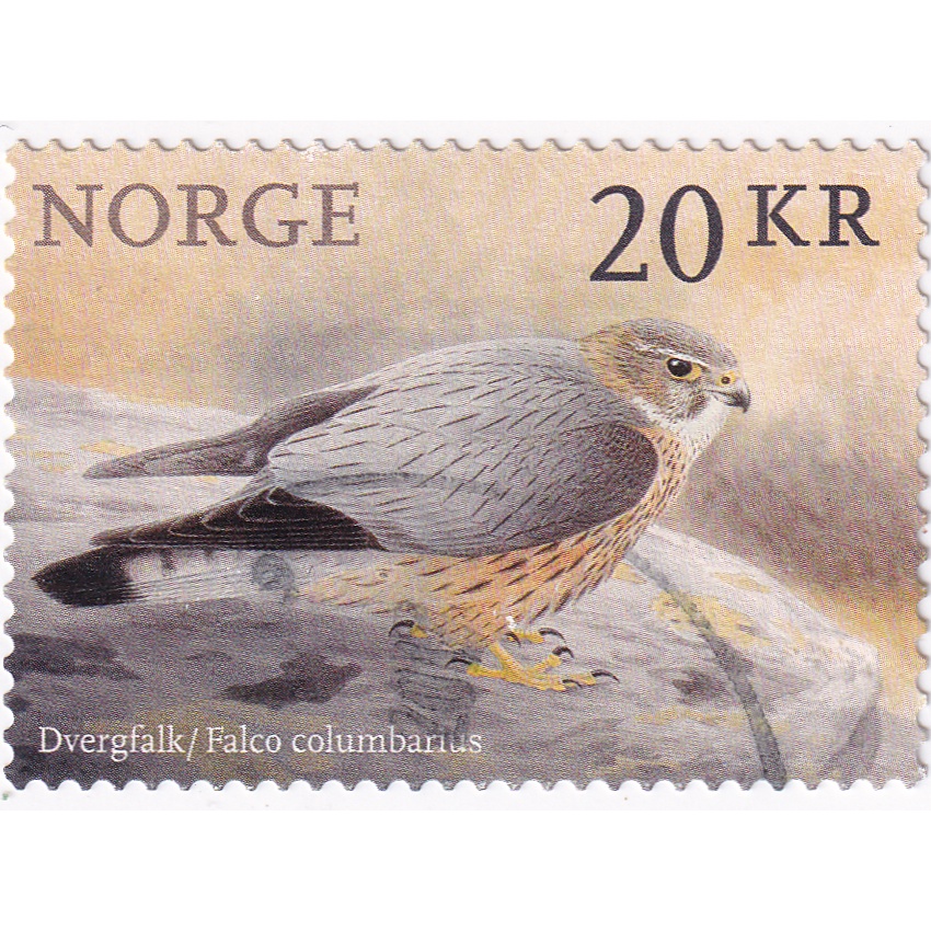 

Prangko Norway 2017 - Birds of Prey BDU Used