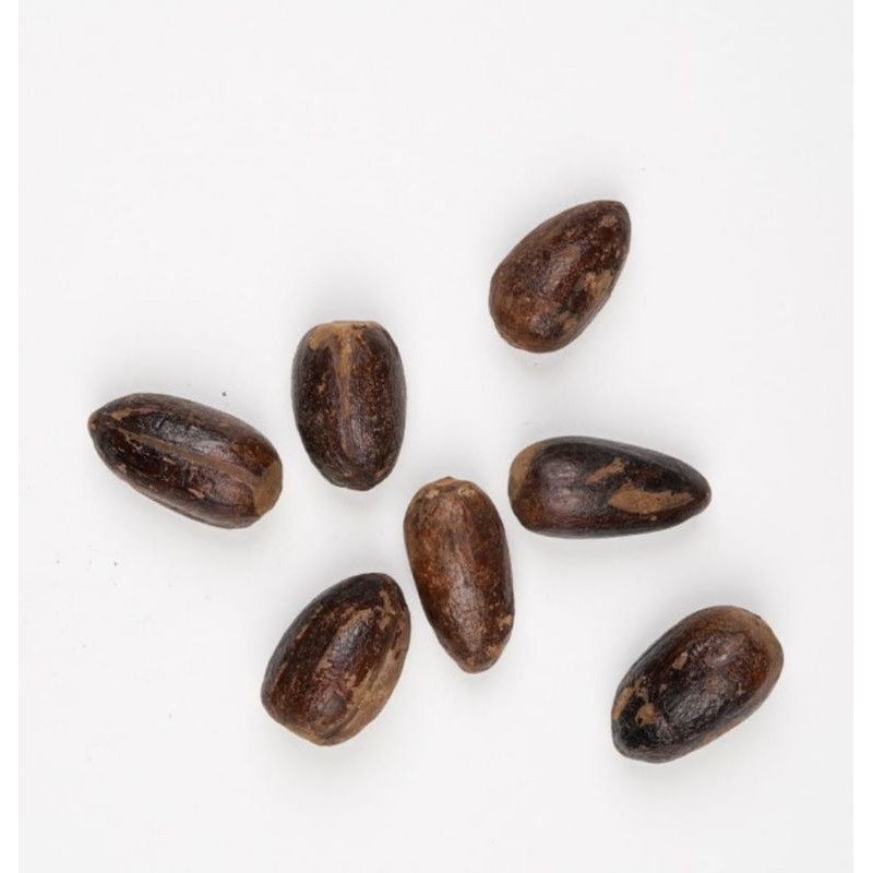 NINAKU Pala Biji Premium 20 Gram HALAL Premium Nutmeg 20g