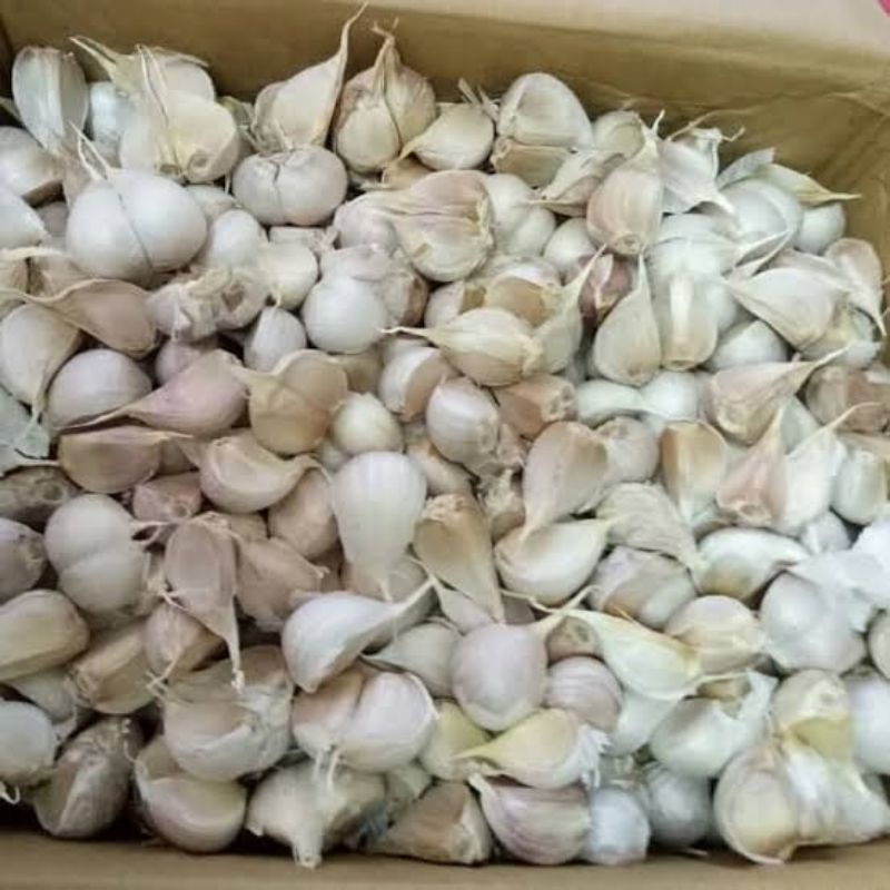 

Bawang Putih Kating Per 100 Gram