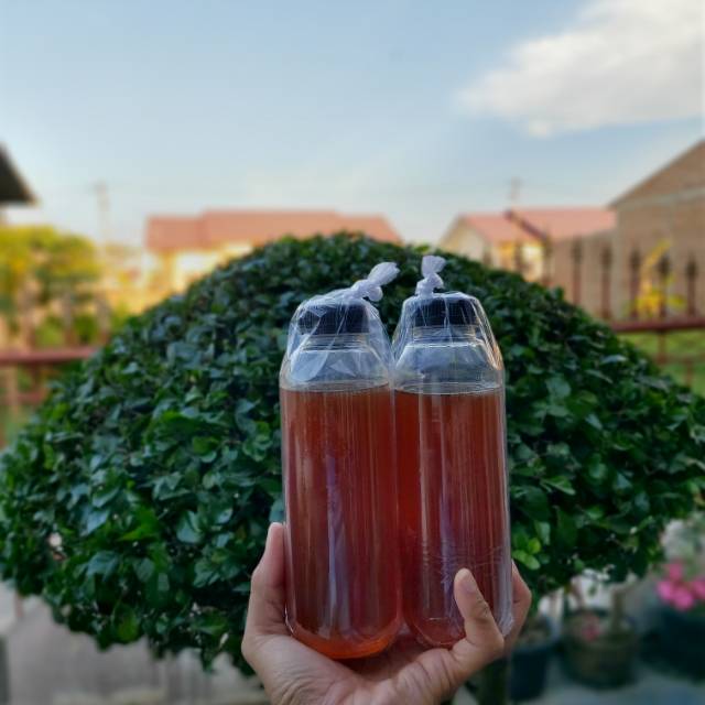 

Madu Hutan KemSul (450 ml)