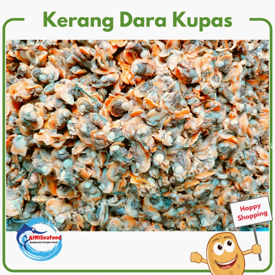 

Daging kerang dara kupas segar fresh clam oyster meat surabaya - 250 gram