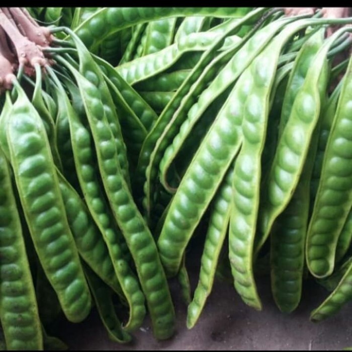 

Pete Lampung premium / super