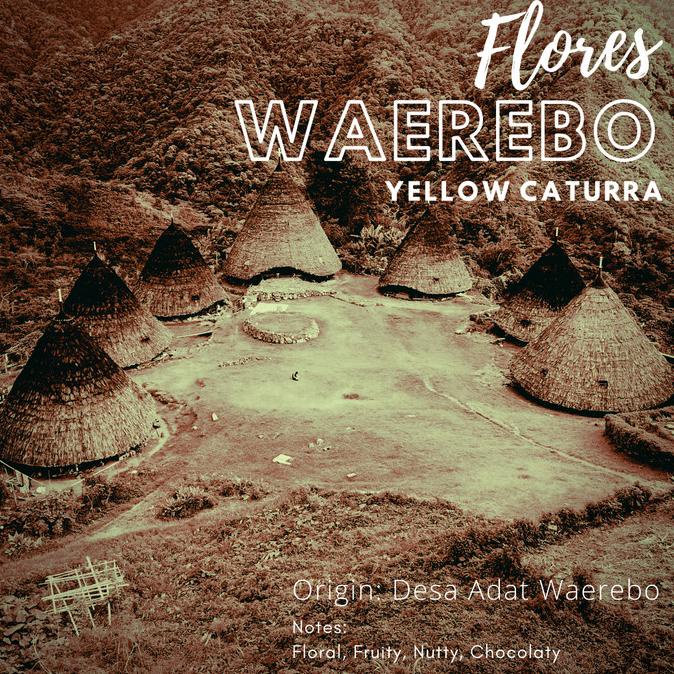 

Green Beans Kopi Arabika Flores WAEREBO Yellow Caturra -Diskon Besar