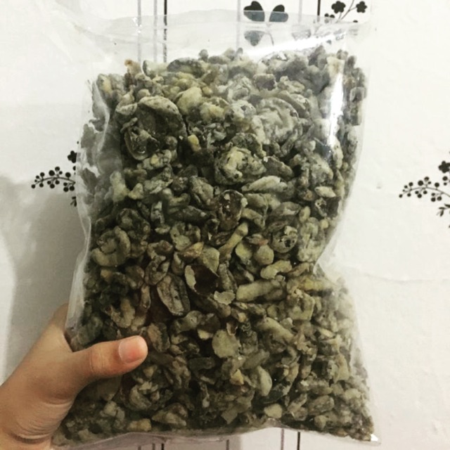 

Jamur kancing khas Temanggung