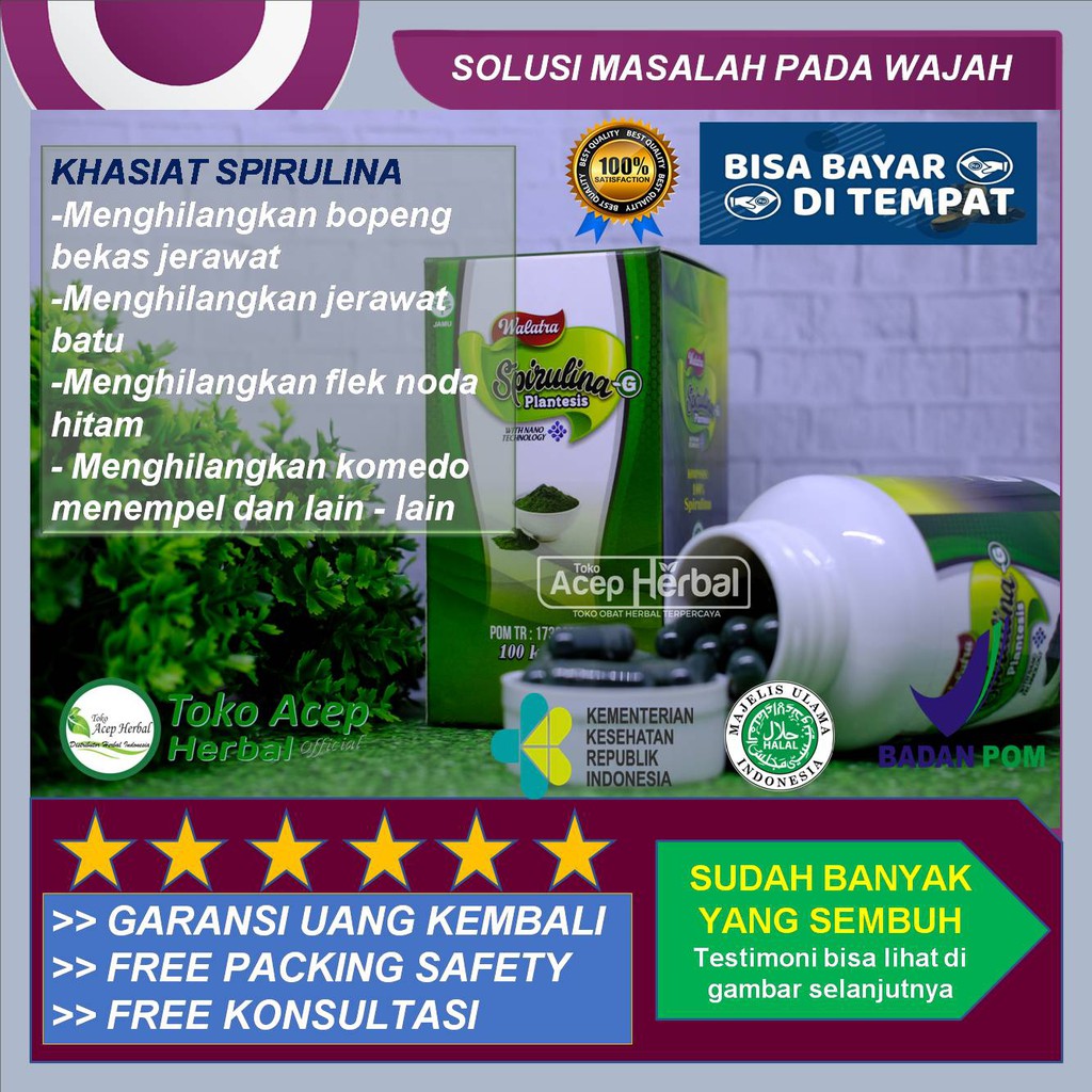 Walatra Spirulina - Obat Bopeng - Obat Jerawat Batu - Obat Komedo Menempel - Obat Flek Noda Hitam
