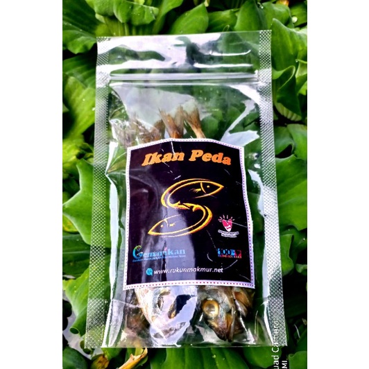 

IKAN PEDA ASIN 100 gram