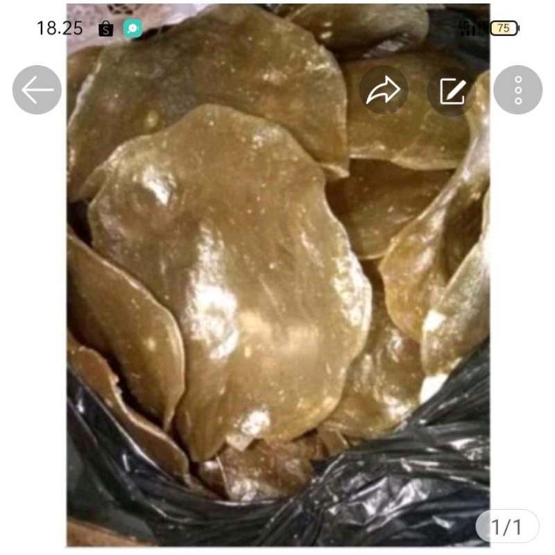 

opak elod mentah khas Bandung 500gram