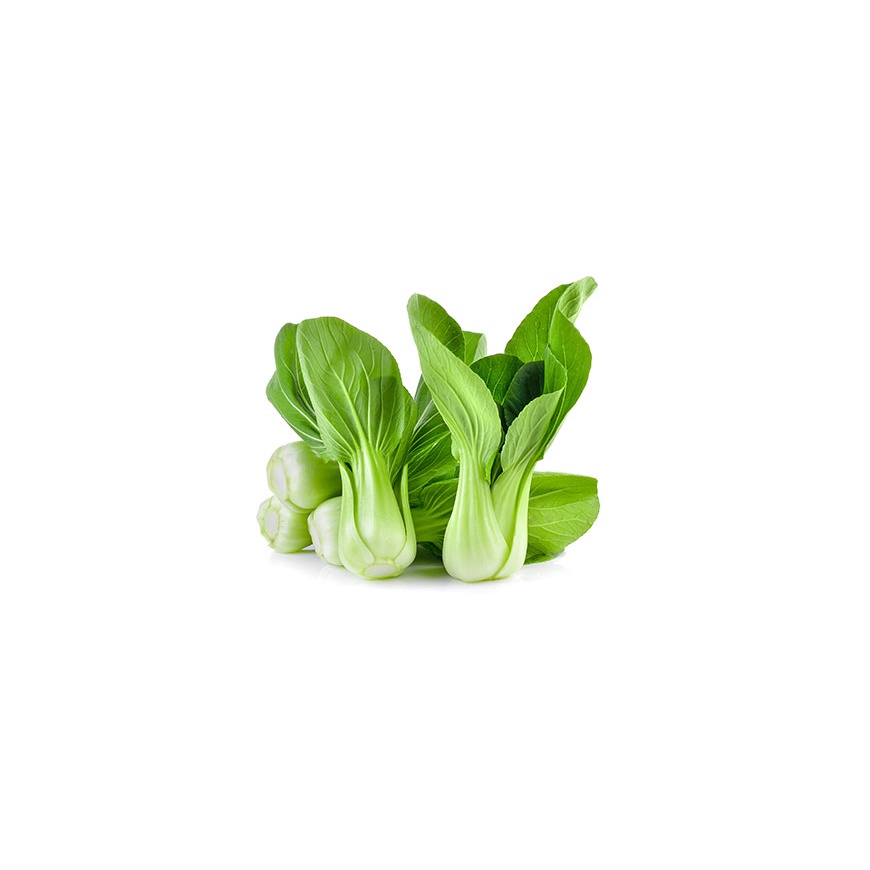 

PAKCOY || SAYURAN SEGAR