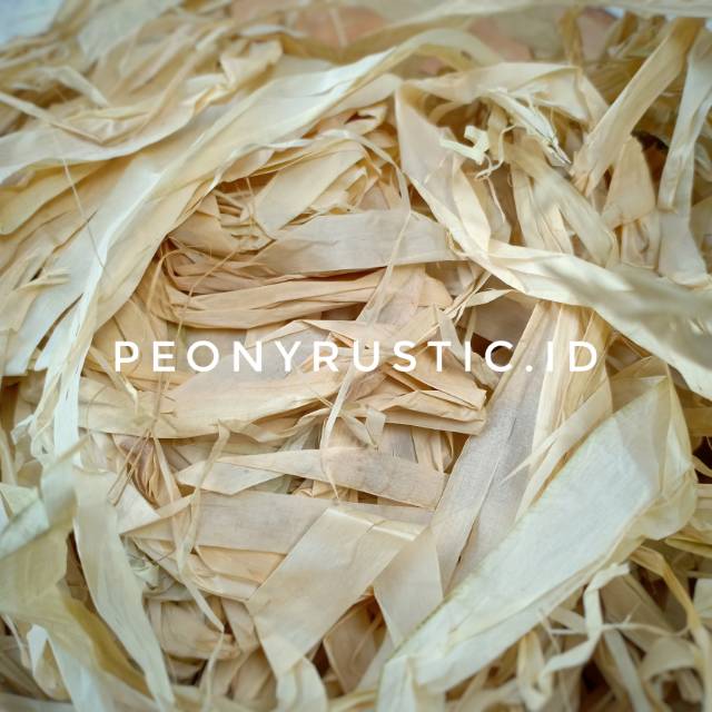 Daun kering gajih agel