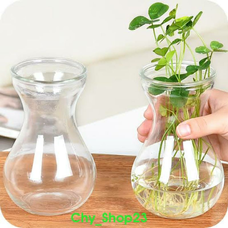 Vas Dmj Pot Tanaman Hias Vas Kaca Pot Bunga Vas Bulat Wadah Tanaman