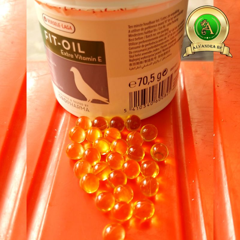 

Fit Oil Versele Laga ( per butir )