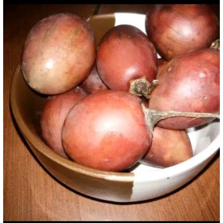 

terong belanda/terong kori 1kg hasil petani ciwidey