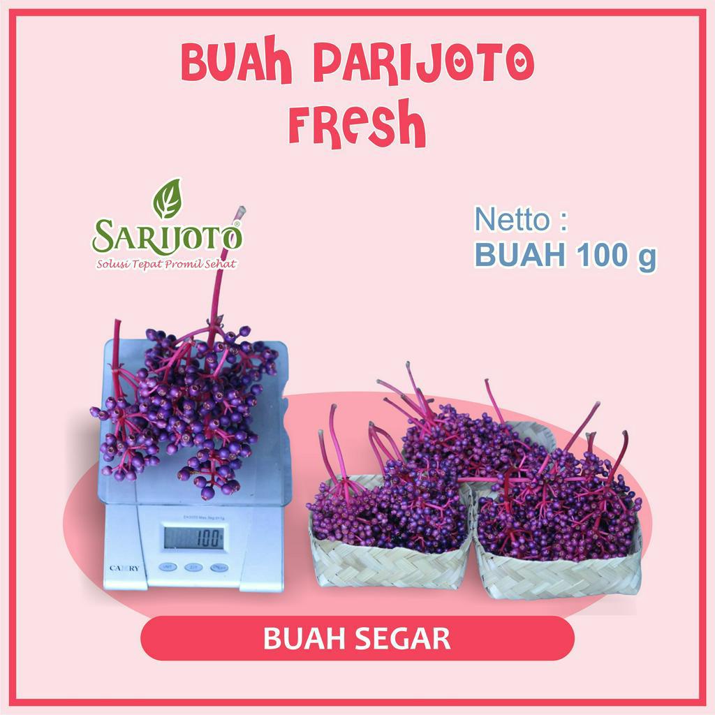 

BUAH PARIJOTO 100g FRESH DIPANEN KETIKA AKAN MENGIRIM BAIK BUAT IBU HAMIL IBU PROMIL DAN KESEHATAN TUBUH