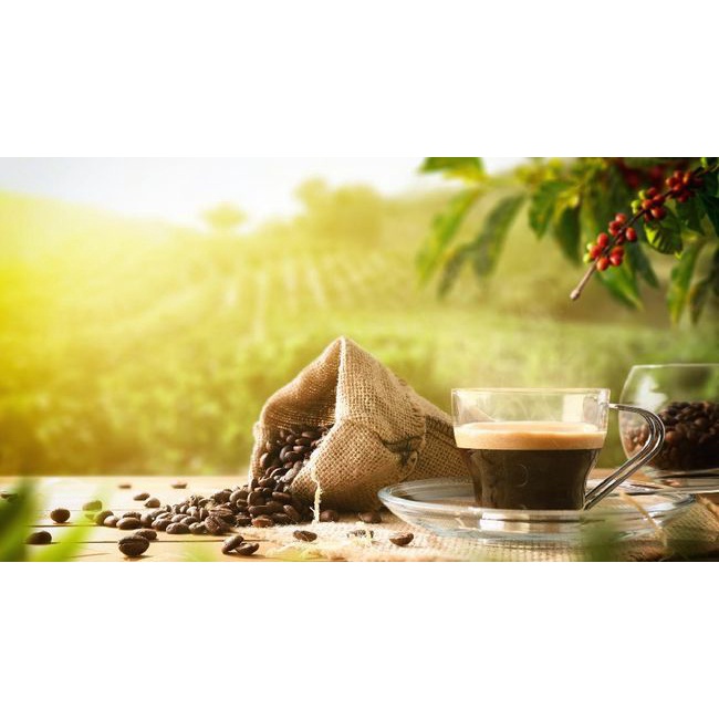 

Kopi MURNI Dampit KOPI BUBUK 250g