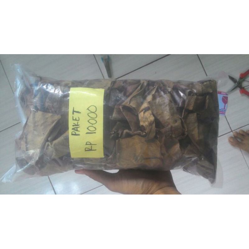 

daun ketapang