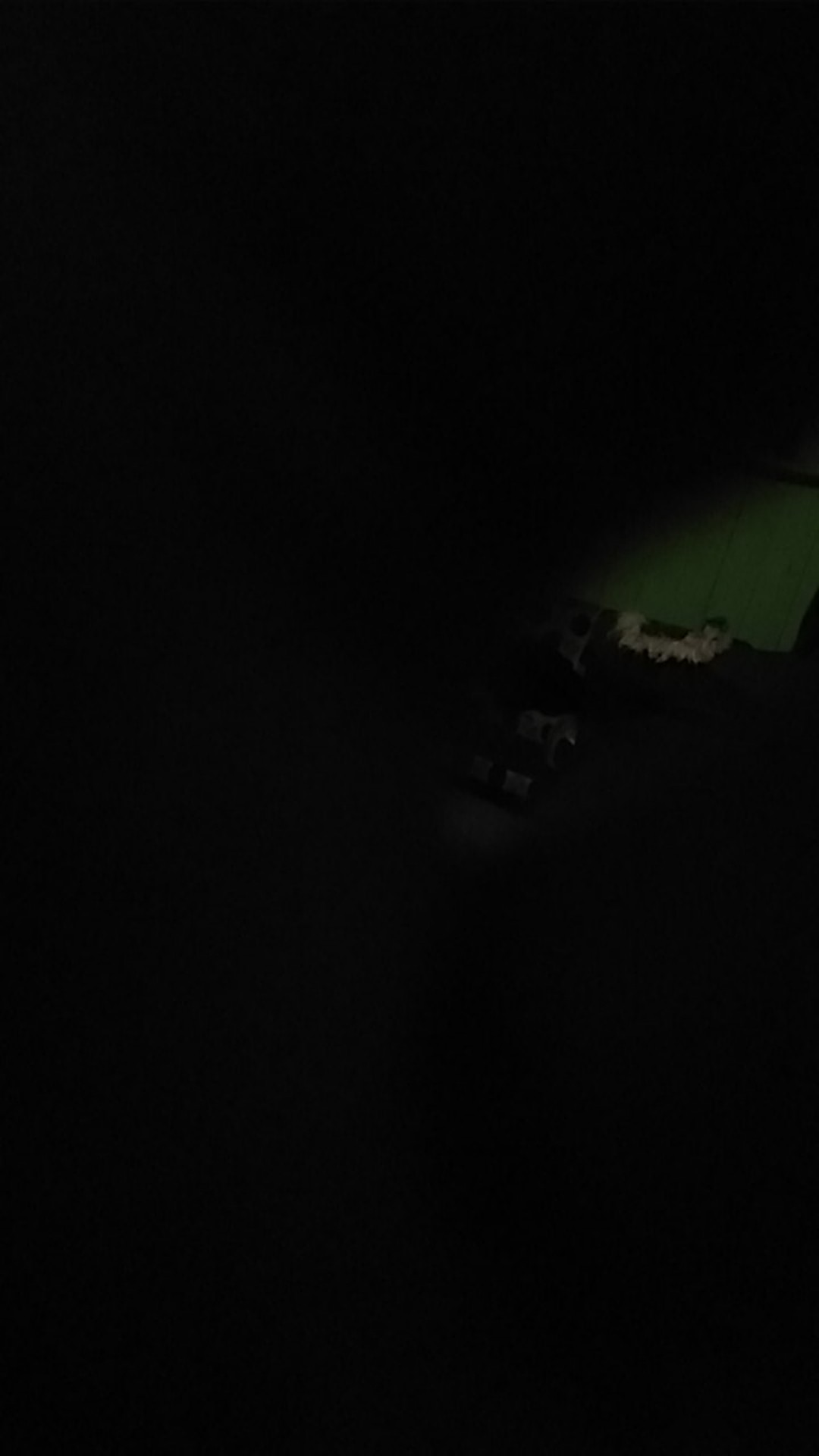 Food Tray M, Kemasan Makanan, Packaging Makanan, Dus Makanan, Dus Snack, Dus Kue