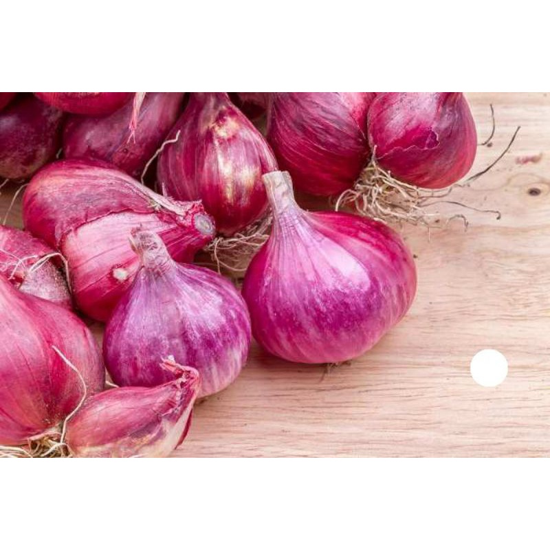 

Bawang Merah Super 1kg Asli Probolinggo