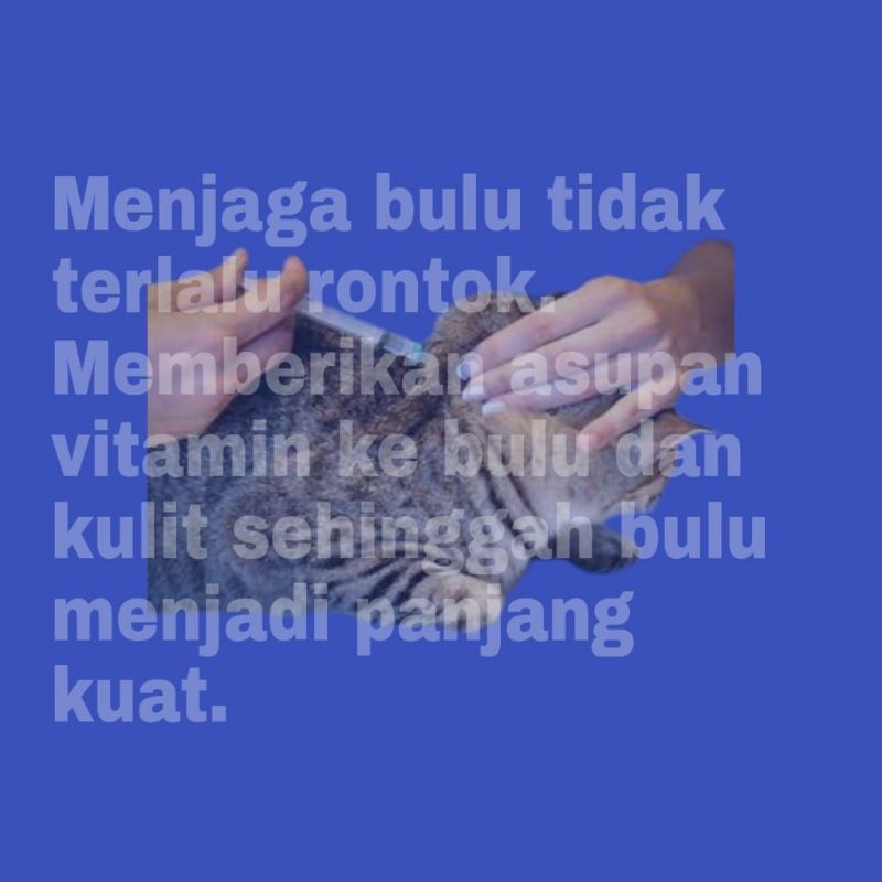 vitamin Kucing F1 (soentik) Napsu makan Pelebat Penumbuh  Bulu Mempermudah Pada Saat Ingin Melahirkan by Uky Amino