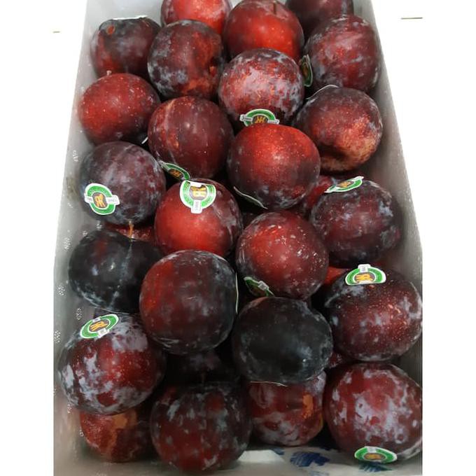 

Aseli Buah Plum Import 1Kg Untuk Diet Termurah Se Indonesia Dijamin Murah It'S Work