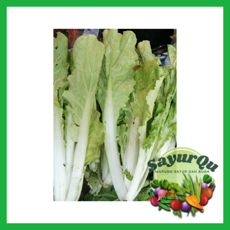 

Lobak Lalap Fresh - Sayur Segar Bekasi
