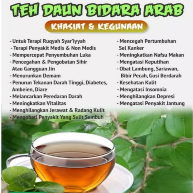 

TEH DAUN BIDARA - TEH KAYA MANFAAT