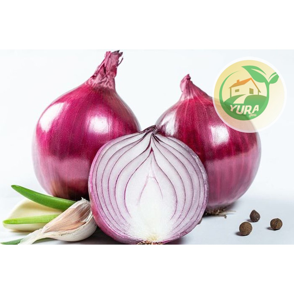 

BAWANG MERAH LOKAL Organik 100% Sayur Segar Organic