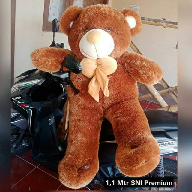 

Bear pita SNI premium