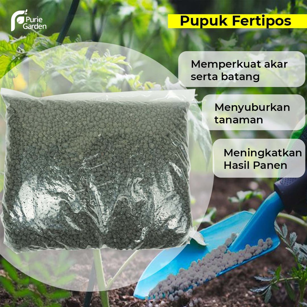 Pupuk Tanaman Horti Fertiphos TSP Hitam 1Kg PG KDR