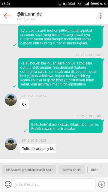 Termurah Bibit Tanaman Buah Alpukat Aligator Unggul/ Bibitt Murah Apokatt