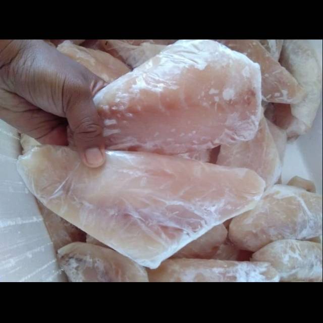 

Daging filet ikan kakap.