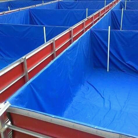 Terpal Kolam Terpal Ikan Kotak 250x200x100 / 200x250x100 / 2x2.5x1 / 2.5x2x1 Untuk Budidadya Ikan