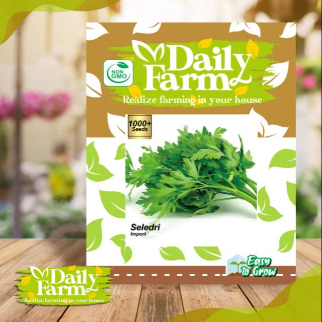 Jual Daily Farm Benih Bibit Seledri Celery Shopee Indonesia