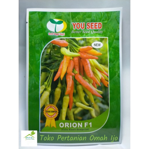 

Cabe Orion F1 Benih Cabe Berdompol Buah Lebat Kemasan 10gr Original Pabrik You Seed
