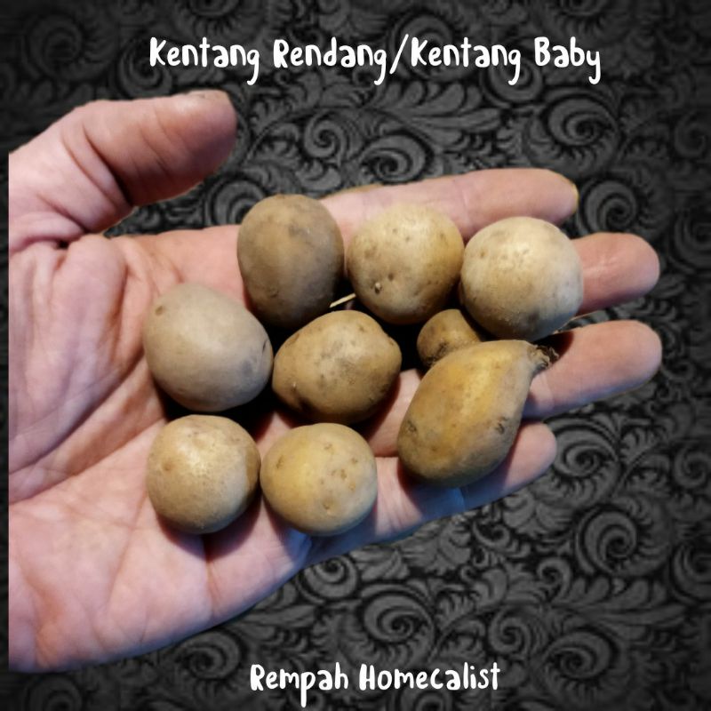 Kentang Baby Kentang Kecil Rendang