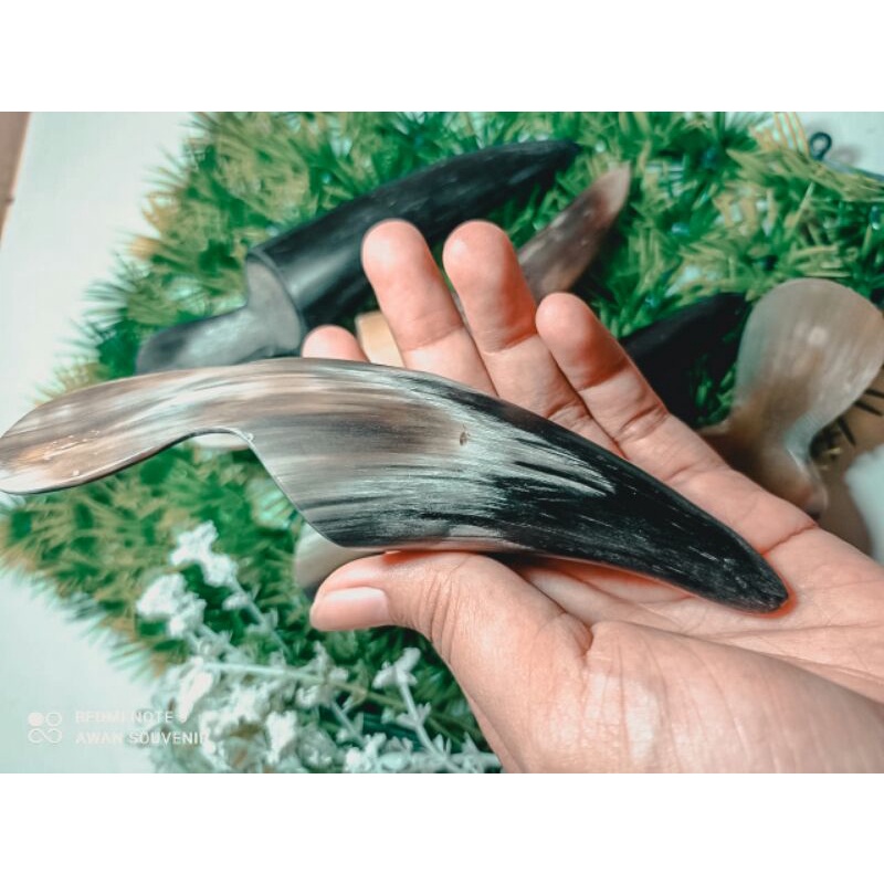 ALAT KEROKAN TANDUK KERIKAN MASUK ANGIN TANDUK ASLI