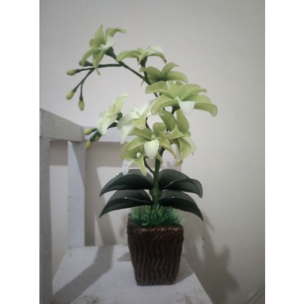 bunga anggrek hias stoking