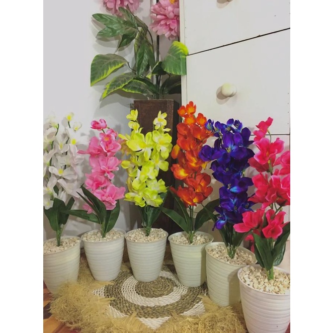Bunga Hias Anggrek bunga hiasan meja