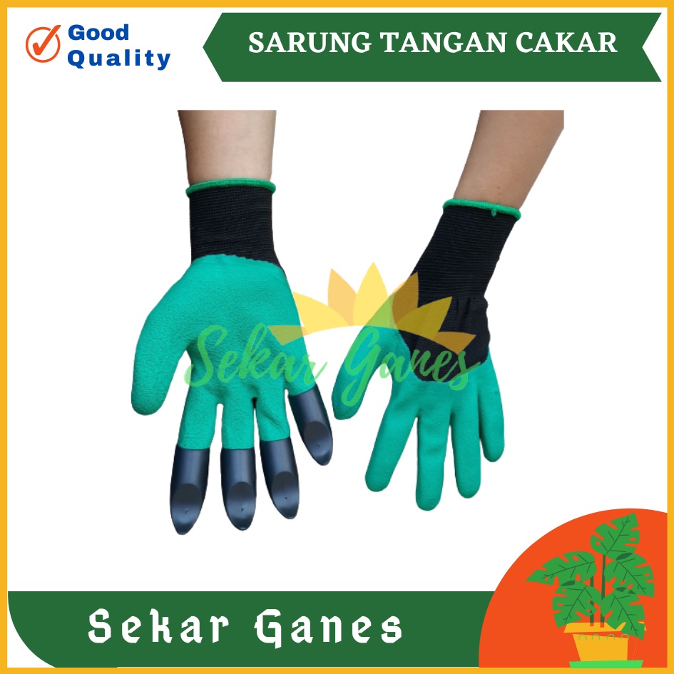 Sekarganes Sarung Tangan Berkebun Cakar Safety Glove Latex Sarung Tangan Cakar Gali Tanah Berkebun Taman Claw Garden Gloves Garden Genie Box Sarung Tangan Bekebun Tebal Hitam Anti Air Anti Duri