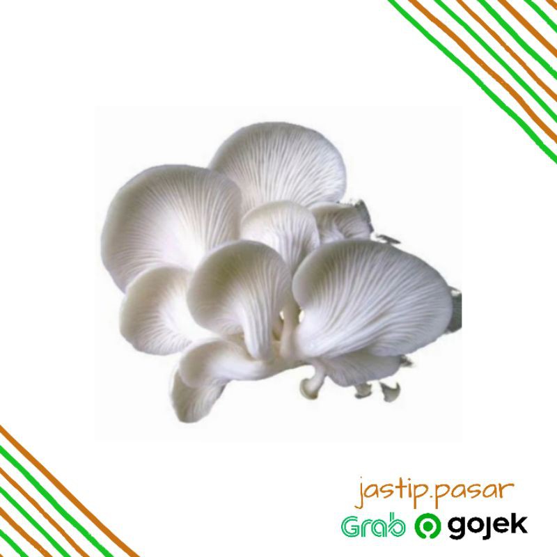 

Jamur Tiram Pack Sayuran Segar Fresh (jastip.pasar)