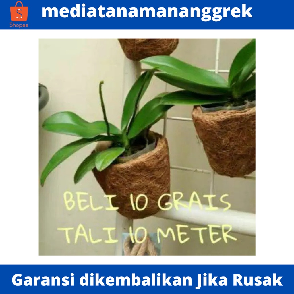 Pot sabut kelapa / pot anggrek dari sabut kelapa
