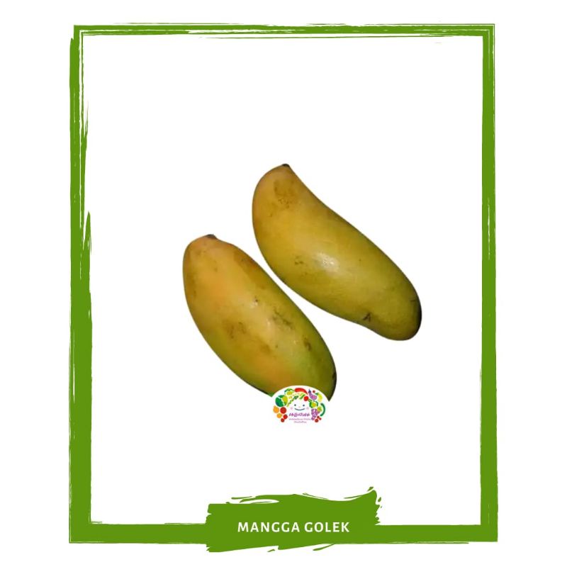 

Mangga Golek / Podang / Buah Buahan Segar By Mallahrizwa