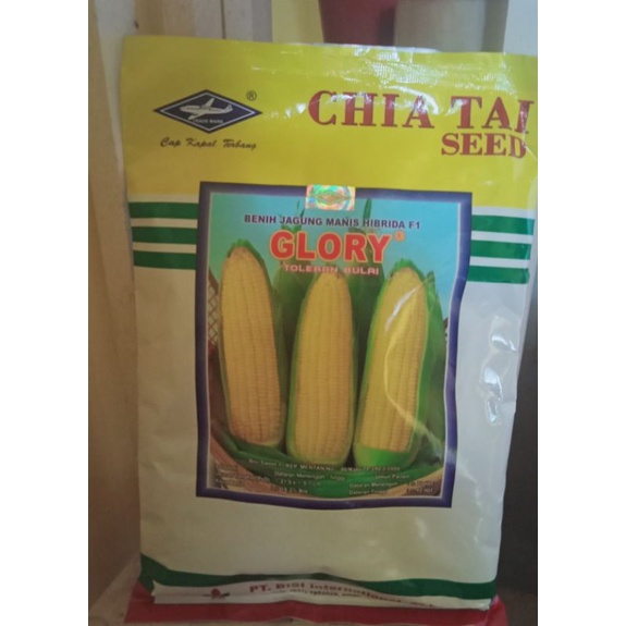 GLORY benih jagung manis hibrida