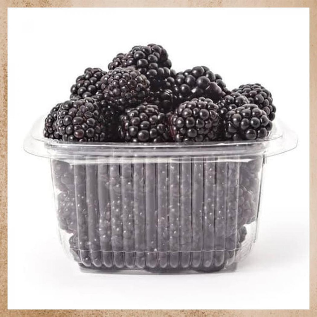 

BUAH BEKU BLACKBERRY MULBERRY FROZEN 1KG SE INDONESIA MURBEI
