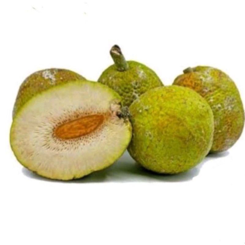 

Buah Sukun per pcs- Gerobak Sayur Palembang